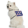 New York Giants Pet Fan Chain