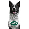 New York Jets Pet Fan Chain