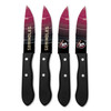 NCAA Florida State Seminoles 4pc Steak Knife Set