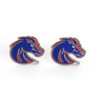 NCAA Auburn Tigers Logo Post Earrings