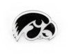 NCAA Iowa Hawkeyes Team Logo Pin