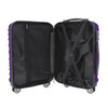 Minnesota Vikings Color Blitz 21-Inch Hard-Shell Carry-On Spinner Luggage with TSA Lock - Purple