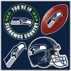 Seattle Seahawks 4 Piece Magnet Set