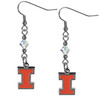 Illinois Fighting Illini Crystal Dangle Earrings