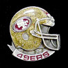 San Francisco 49ers Team Pin