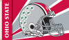 Ohio State Buckeyes 3 Ft. X 5 Ft. Flag W/Grommets - Helmet Design