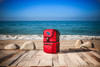 Tennessee Titans Zuma Backpack Cooler, (Red)