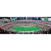 Las Vegas Raiders 1000 Piece Panoramic Puzzle - Center View
