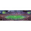 Minnesota Vikings 1000 Piece Panoramic Puzzle - Center View