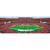 Washington Commanders 1000 Piece Panoramic Puzzle - Center View