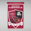 Arizona Cardinals Shield Banner