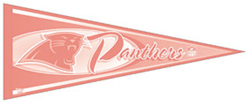 Carolina Panthers Pennant - Pink