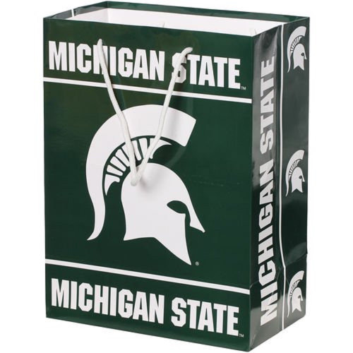 Michigan State Spartans Medium Gift Bag