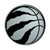 NBA - Toronto Raptors Chrome Emblem 3"x3.2"