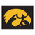 University of Iowa - Iowa Hawkeyes All-Star Mat Tigerhawk Primary Logo Black