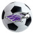 University of Wisconsin-Whitewater - Wisconsin-Whitewater Pointers Soccer Ball Mat "Warhawks" Logo White