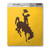 Wyoming Cowboys Matte Decal "Bucking Cowboy" Logo