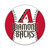 Arizona Diamondbacks Magnet Car Style 12 Inch