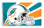 Miami Dolphins Flag 3x5 Helmet Design