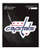 Washington Capitals Matte Decal Capitals Wordmark