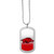 Arkansas Razorbacks Team Tag Necklace