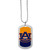 Auburn Tigers Team Tag Necklace