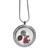 Washington St. Cougars Locket Necklace