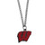 Wisconsin Badgers Chain Necklace with Small Charm