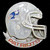 New England Patriots Team Pin