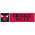 Chicago Bulls Bumper Sticker - WinCraft