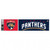 Florida Panthers Decal 3x12 Bumper Strip Style
