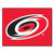 NHL - Carolina Hurricanes All-Star Mat 33.75"x42.5"