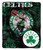 Boston Celtics Blanket 50x60 Raschel Drop Down Design