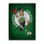 Boston Celtics Blanket 60x80 Raschel Street Design