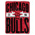 Chicago Bulls Blanket 46x60 Micro Raschel Clear Out Design Rolled