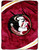 Florida State Seminoles Blanket 60x80 Raschel Force Design