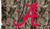 Alabama Crimson Tide 3 Ft. X 5 Ft. Flag W/Grommets - Realtree Camo Background