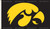 Iowa Hawkeyes   3 Ft. X 5 Ft. Flag W/Grommets