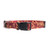 Iowa State Cylcones Pet Collar Size M