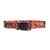 Iowa State Cylcones Pet Collar Size S