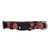 Syracuse Orange Pet Collar Size L