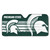 Michigan State University - Michigan State Spartans Auto Shade Primary Logo, Alternate Logo and Wordmark Green