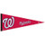 Washington Nationals Pennant