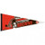 Cleveland Browns Pennant 12x30 Premium Style