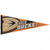 Anaheim Ducks Pennant 12x30 Premium Style