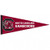 South Carolina Gamecocks Pennant 12x30 Premium Style