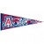 Arizona Wildcats Pennant 12x30 Premium Style