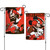 Cleveland Browns Flag 12x18 Garden Style 2 Sided Disney