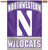 Northwestern Wildcats Banner 28x40 Vertical