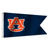 Auburn Tigers Yacht Boat Golf Cart Flags